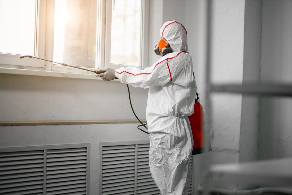 Professional mold remediation services in Saint Paul, IN